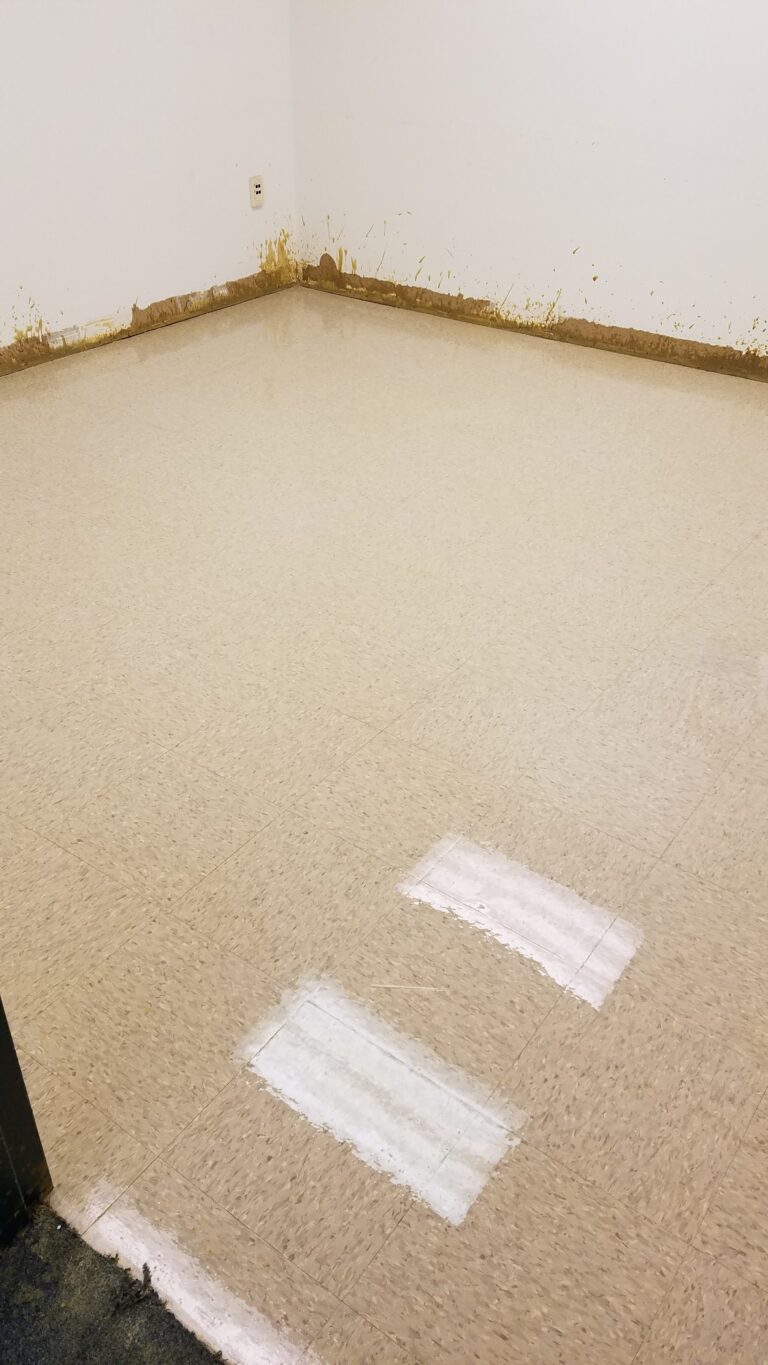 Cleaned Floor gallery photo after